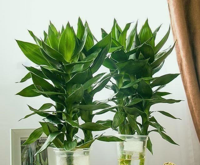 十大外围足球平台app