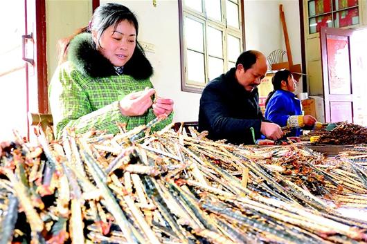 十大外围足球平台app