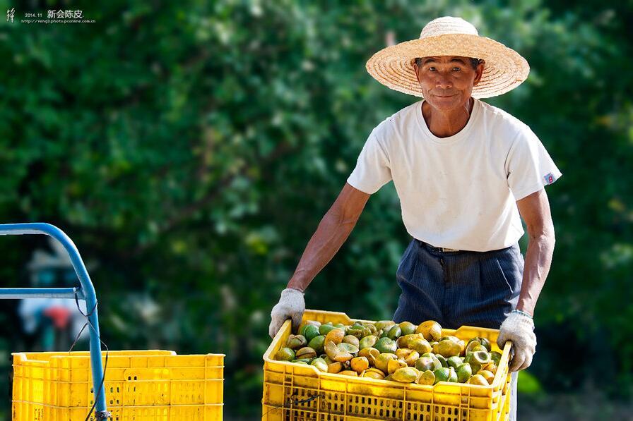 中共中央政治局常委会召开会议【十大外围足球平台app】(图2) 十大外围足球平台app