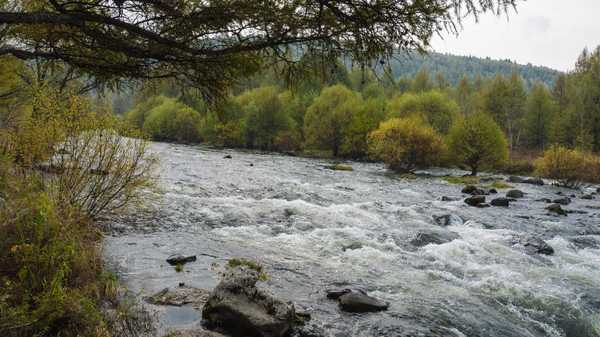 十大外围足球平台app