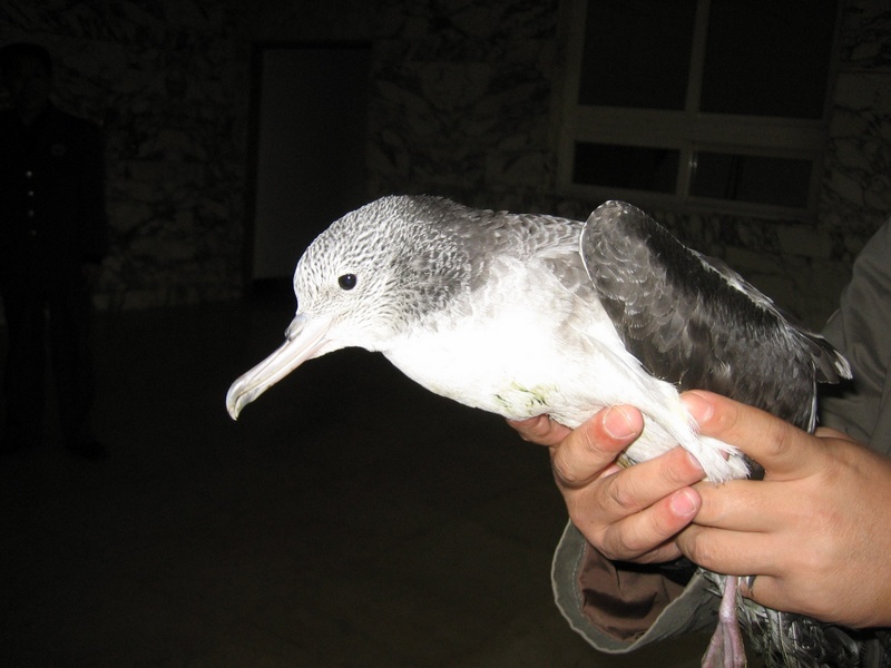 十大外围足球平台app