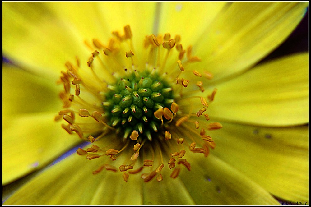 十大外围足球平台app