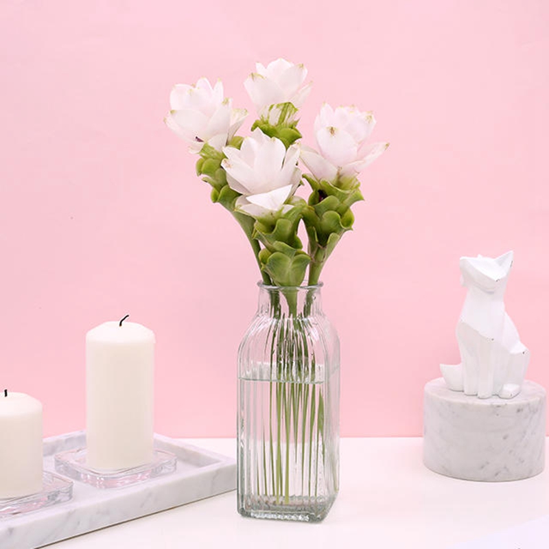 十大外围足球平台app