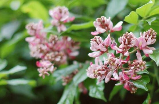 十大外围足球平台app