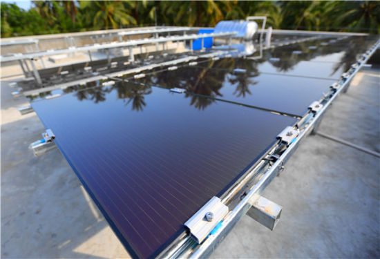 十大外围足球平台app