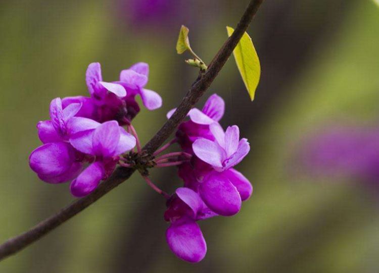 十大外围足球平台app