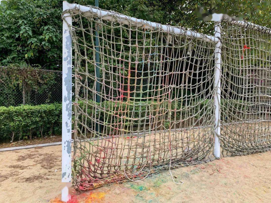 十大外围足球平台app|
校园一角(图8) 十大外围足球平台app|
校园一角(图8)