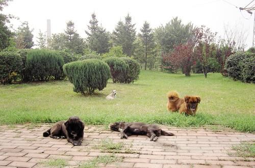 【全国两会地方谈】脱贫攻坚要兼具“时效”与“实效”_时事政治_中公教育网_十大外围足球平台app(图1) 十大外围足球平台app