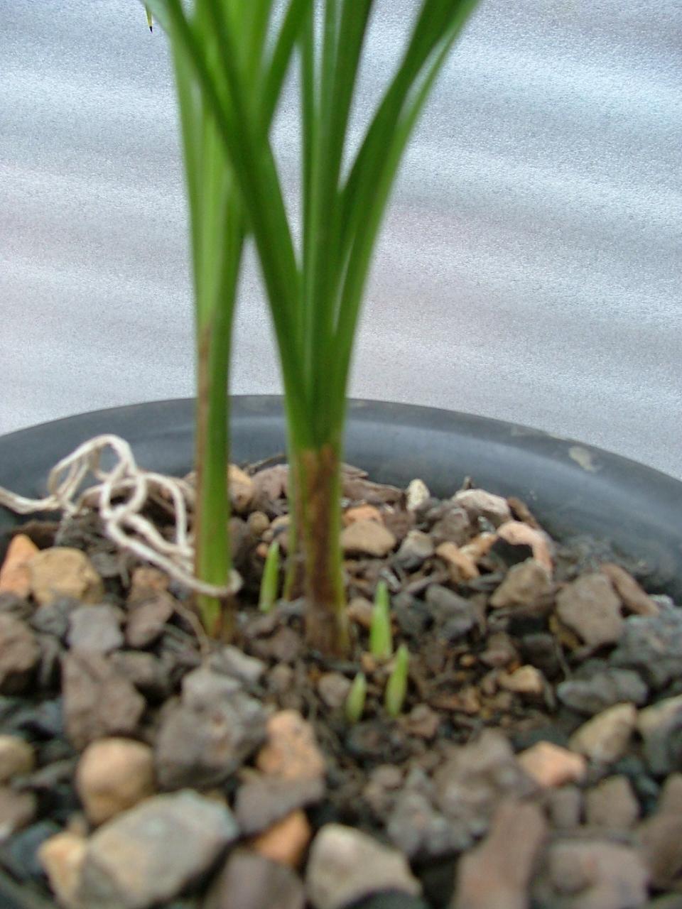 十大外围足球平台app