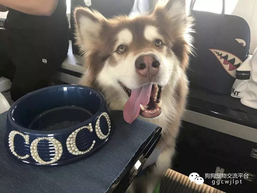 让风清气正成为节日“标配”_时事政治_中公教育网-十大外围足球平台app(图3) 十大外围足球平台app