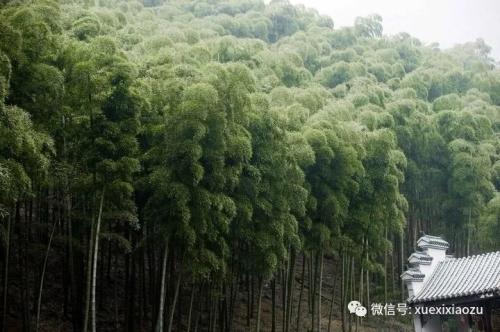 十大外围足球平台app-霍州市开元街道党工委机关支部组织开展了 “提高政治意识▪维护国家安全”主题党日活动(图4) 十大外围足球平台app