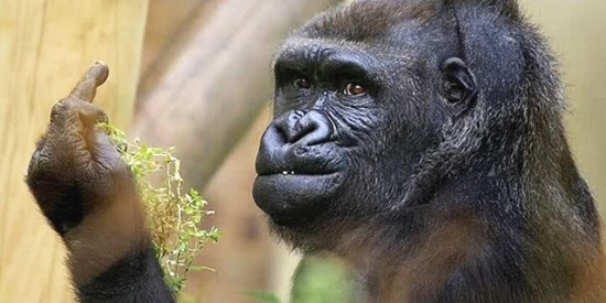 十大外围足球平台app