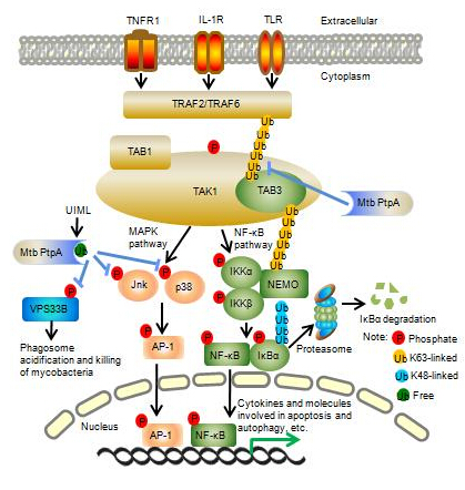 十大外围足球平台app|读懂国际社会的人心所向_时事政治_中公教育网(图1) 十大外围足球平台app