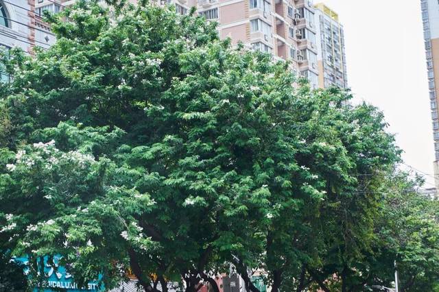 十大外围足球平台app