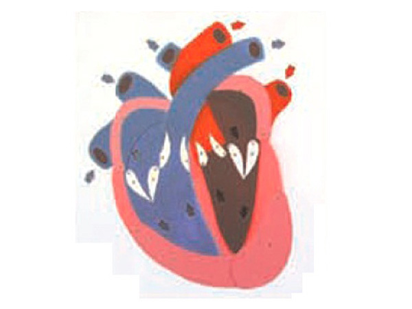 十大外围足球平台app