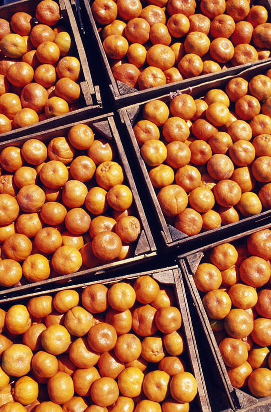 践行新思想,领航新时代_时事政治_中公教育网|十大外围足球平台app(图3) 十大外围足球平台app