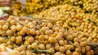 十大外围足球平台app