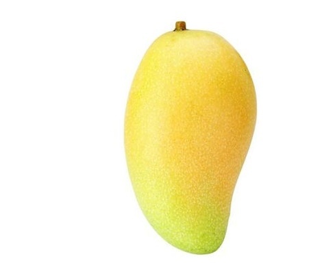 十大外围足球平台app